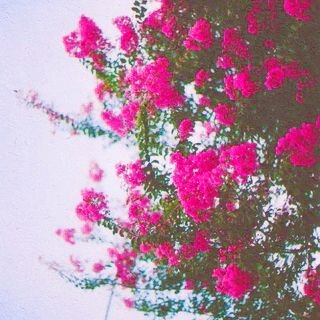 ‏‏مثل مَ شاِنت ' يجى لھاَ يوم ​ۈ / تزين ♡̷̷