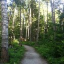 cindy Arndt - @arndt_cindy - Twitter