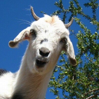 TWITTERACCOUNT 4 FUN IF YOU GOT SOMETHING FUNNY, TWEET IT TO MEYYY, ILL GIVE CREDITS :D