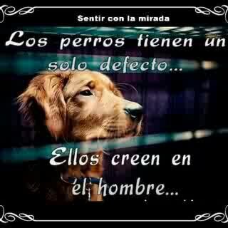 Lic. Admon, Prof. Universitario.(Inactivo) Demócrata 100%, Abuelo de 7 Nietos. Motero Alta Cilindrada. Respeto y Quiero a todos los Animales.