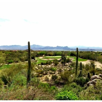 troncarter2025's profile picture. 