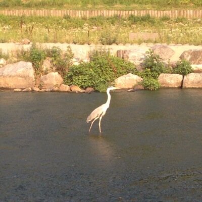 대학생을 존중하는 계정
비밀번호는 
[지혜롭게]