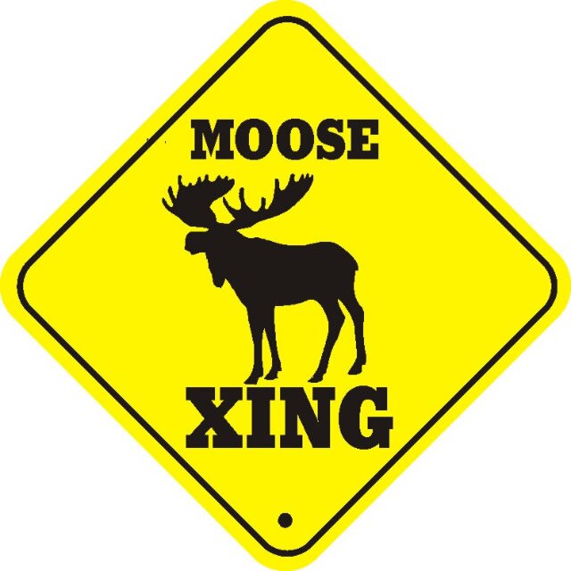Home to the Worlds Largest Muskoka Chair, World Famous Quebec Poutine, Succulent Ice Cream Delights and Fresh Veggies and Fruit! Stop in to say hi!