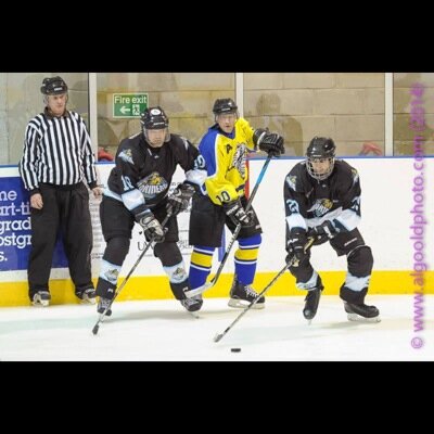 dothetwistandy's profile picture. i tweet alot of twodal,#spexyforlife #29maraner #musicfeend love ice hockey #clanfan #pens#Amy