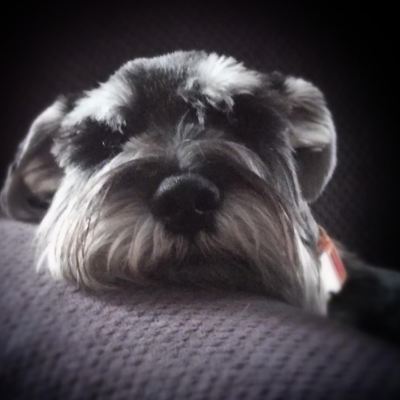 soniablue's profile picture. I'm an elementary music teacher who loves Blue Man Group, travel, photography, technology, sci-fi and good beer.