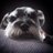 soniablue's profile image