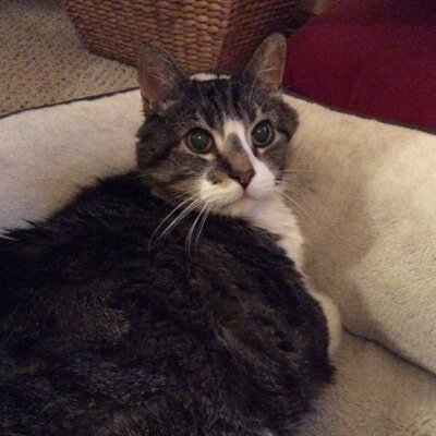 Baxter2Lori's profile picture. 