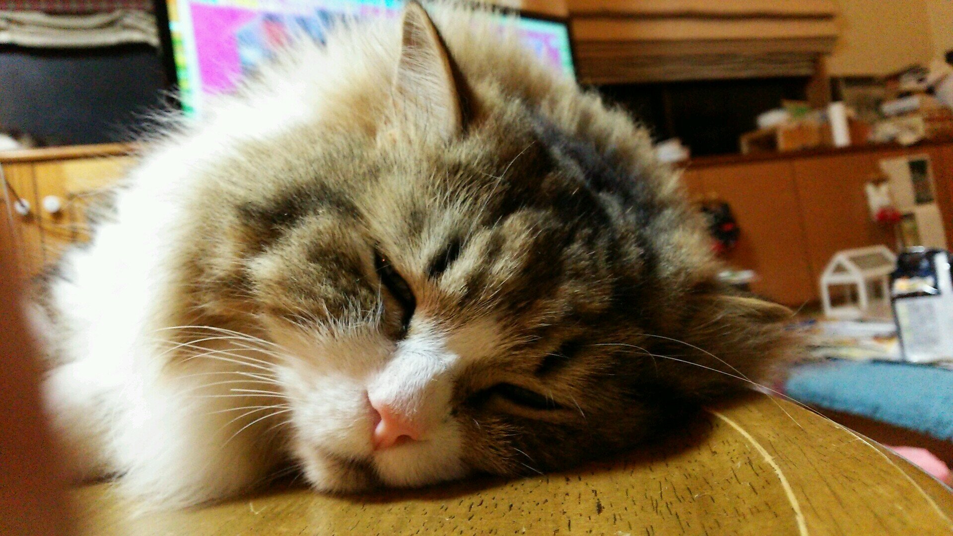 ありがとう