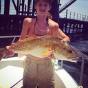 ALEX (@Alexmurrell5432) Twitter