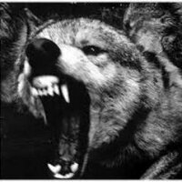 Bad Wolf (@lycopolis_ad) 's Twitter Profile