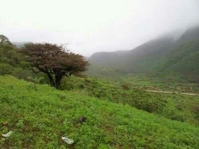 ryyan_alhisoniy's profile picture. ‏‏‏‏‏‏‏صن نفسك واحملها على مايزينها *
تعش سالما و القول فيك جميل.