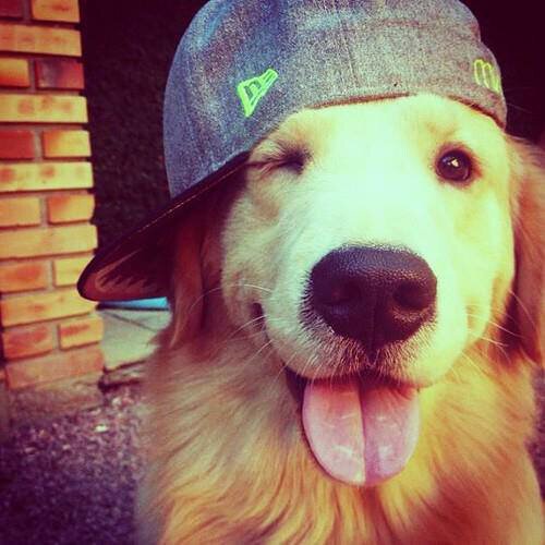 CEFS31's profile picture. 