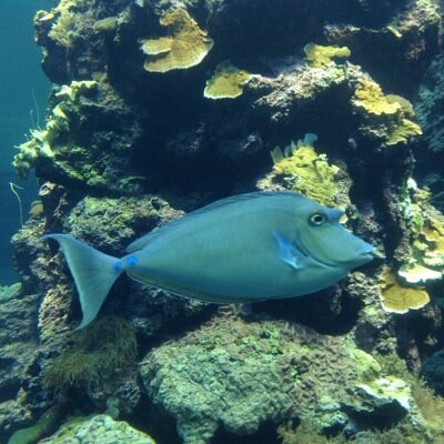 csfname's profile picture. 