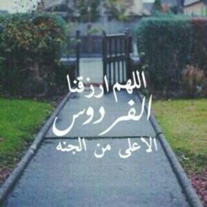 اللهم اجمع قلوبنا على طاعتك ، ونفوسنا على خشيتك ، واجمع ارواحنا في جنتك