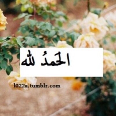 هآلحسآب گلنآ رآح نسآعد بعض فيهه عشآن نذگر الله ونجمع حسنآت ويآ بعض  ( اللهم ارحمنآ جميعاً واجعلنآ في الفردوس الآعلى )
insta: iAzkar_Quran