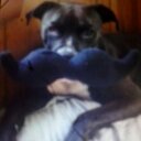 Caleb Chapman - @chappy_8795 - Twitter