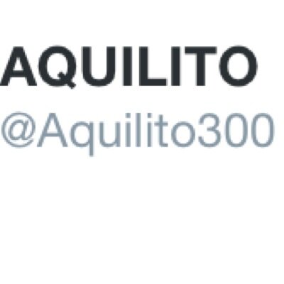 NOT THE REAL AQUILITO300