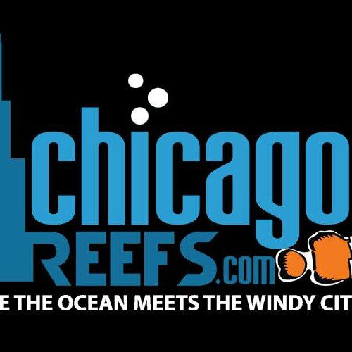 Where the ocean meets the Windy City