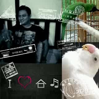 f_rizal11's profile picture. Happyy.,!?:;/(_-+)@$*/# finish ...... ☹☺ Happy ☺™ ' !!! Kicau Mania 'Tq