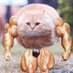Jason H. (@devinator23bear) Twitter profile photo