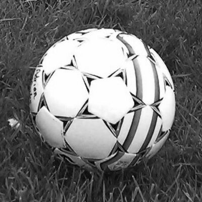 MaplesSoccer's profile image