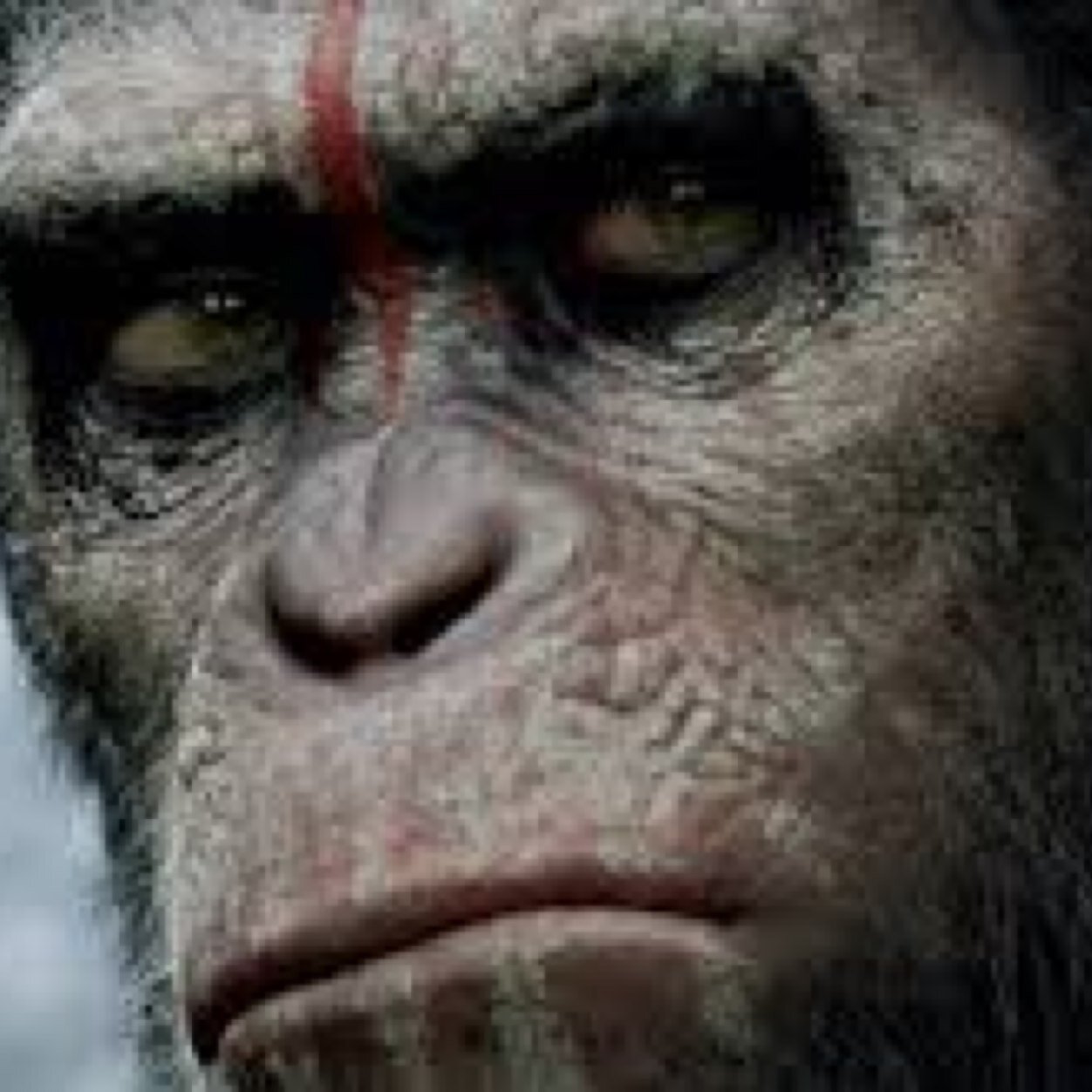 The realist ape on the planet. •parody account• •Not associated with Dawn of the Planet of the Apes•