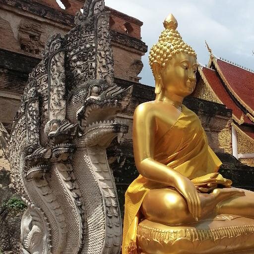 GarryJohal's profile picture. 