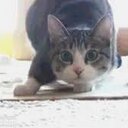 Daniel Richman - @Doieag - Twitter