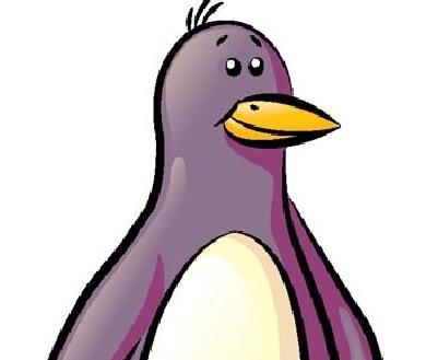 RealTedPenguin's profile picture. A penguin named Ted.
