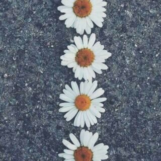 استغفرالله .