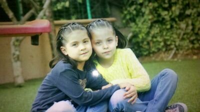 borregosos's profile picture. 