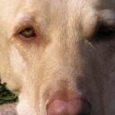 ebw123's profile picture. Digital, Product Mgr @CapitalOne.