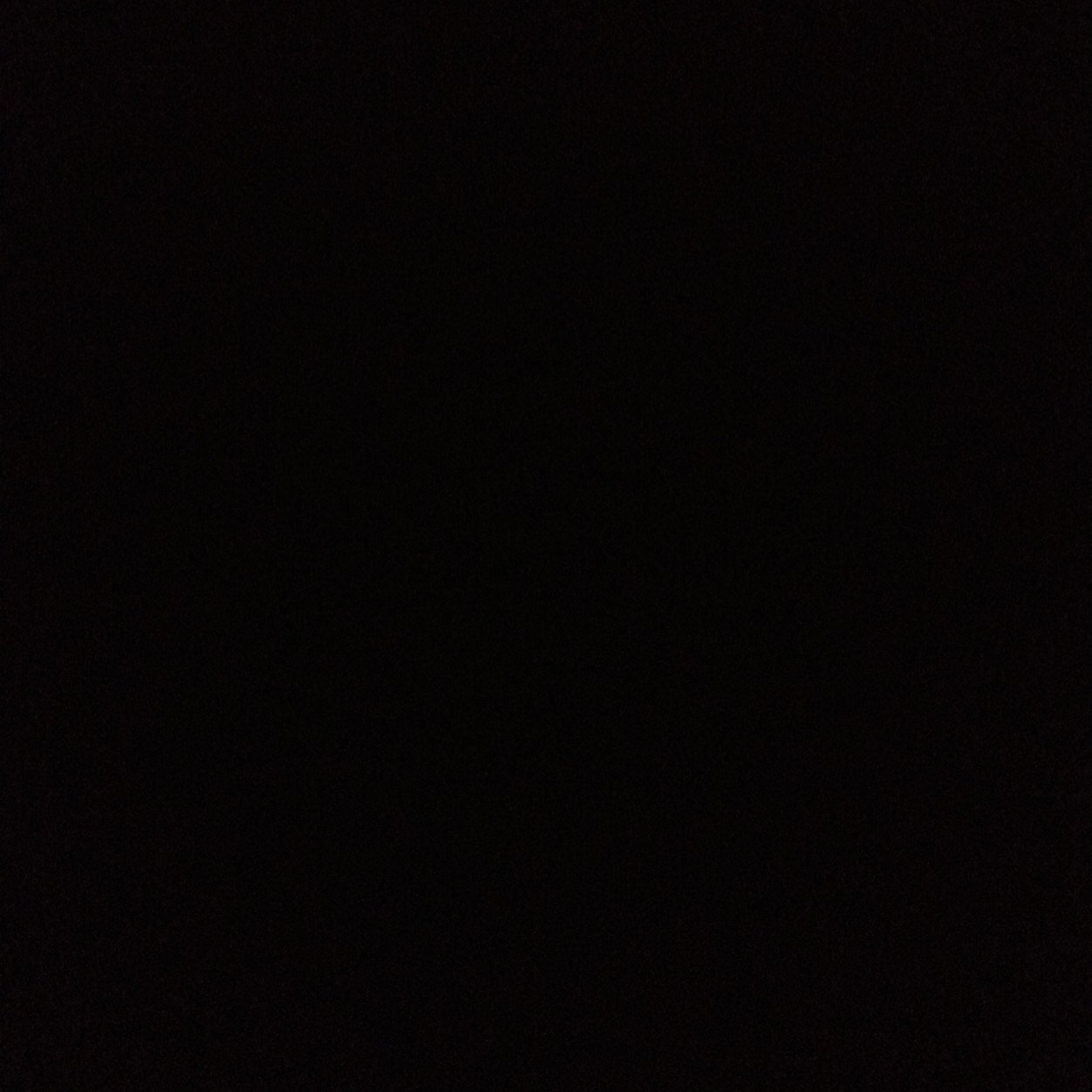 brianabieberrr's profile picture. 