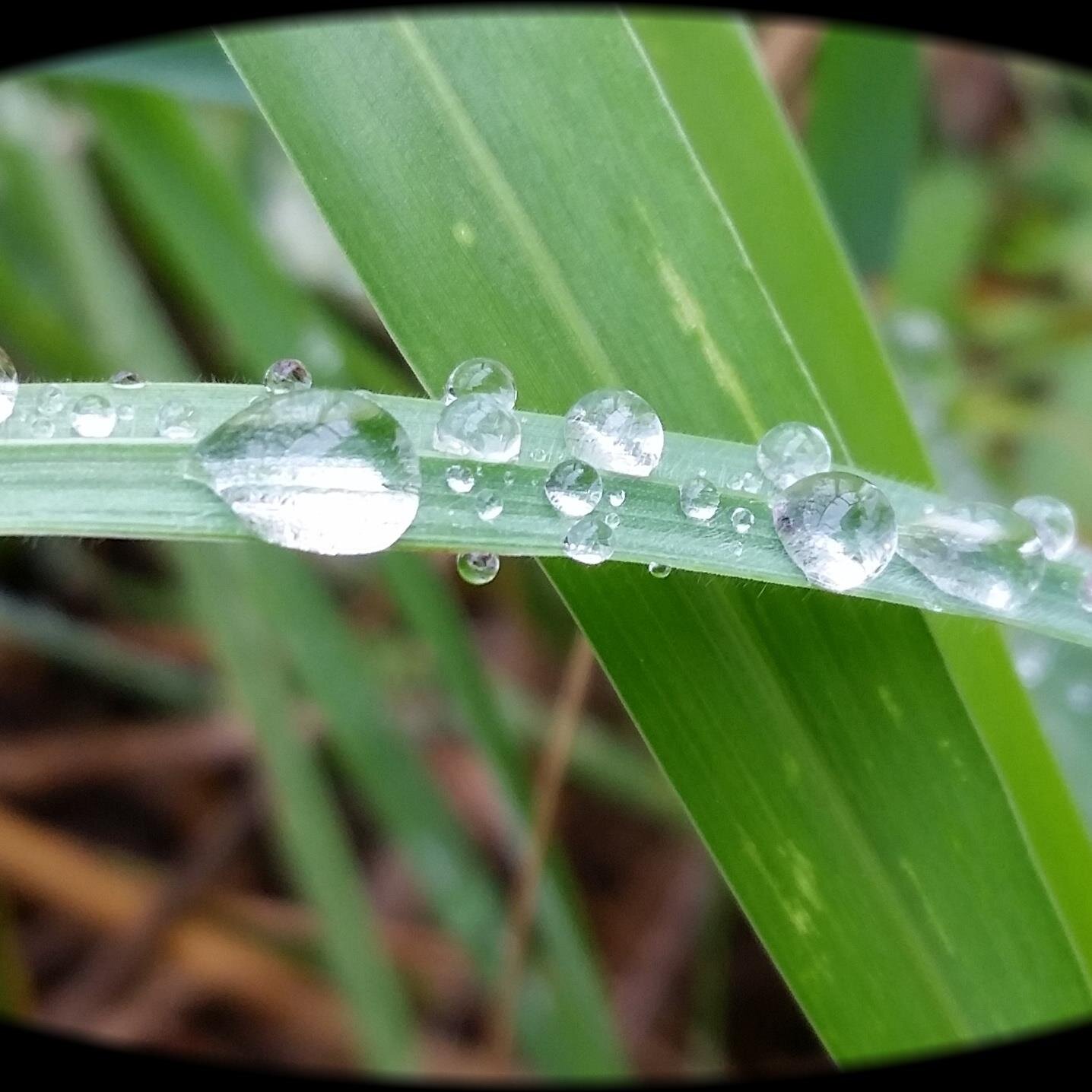 EYunyh777's profile picture. 