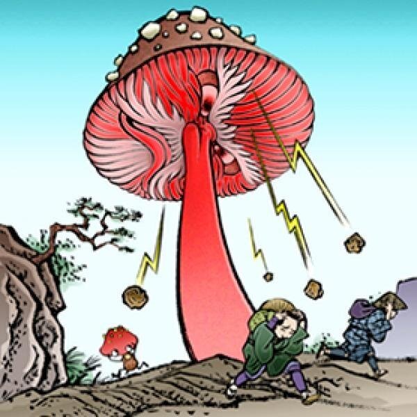 ロキノン系バンド好きです。LUNKHEADのライブによく行きます。