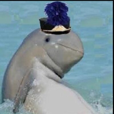 tbhfermata Profile Picture