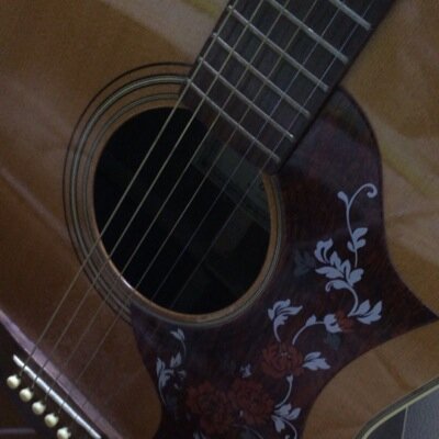 SPamiami3's profile picture. 