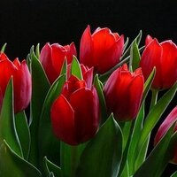 ام ياسر (@um_yasser8) 's Twitter Profile