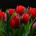 ام ياسر (@um_yasser8) Twitter profile photo