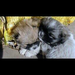 whxhb's profile picture. 