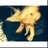 missmulababy's profile image