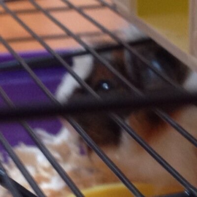 jmorony79's profile picture. 