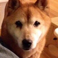 takumikun (@takumikun) 's Twitter Profile