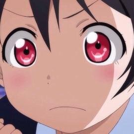 @xtomarax　のサブ垢です。フォローバック自動です。