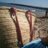 mestre_montse's profile image
