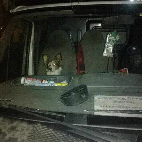 Non disprezzo i miei demoni. Nessuno mi conosce meglio di loro.
