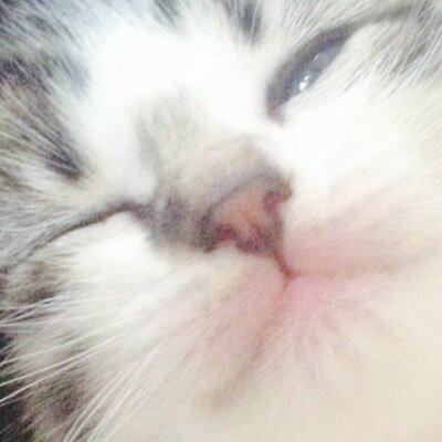 HunterJesi's profile picture. God 1st