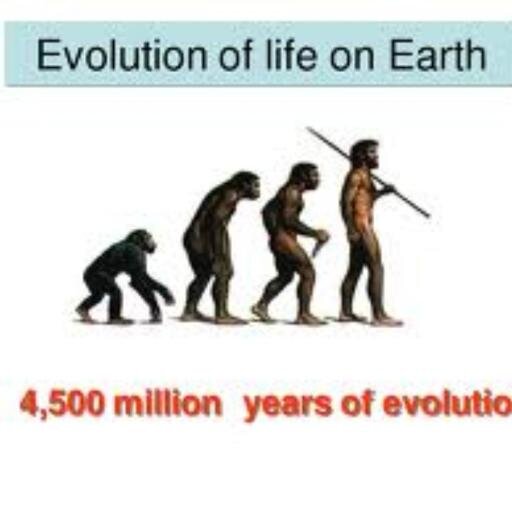 how is the life on planet and Human Awareness