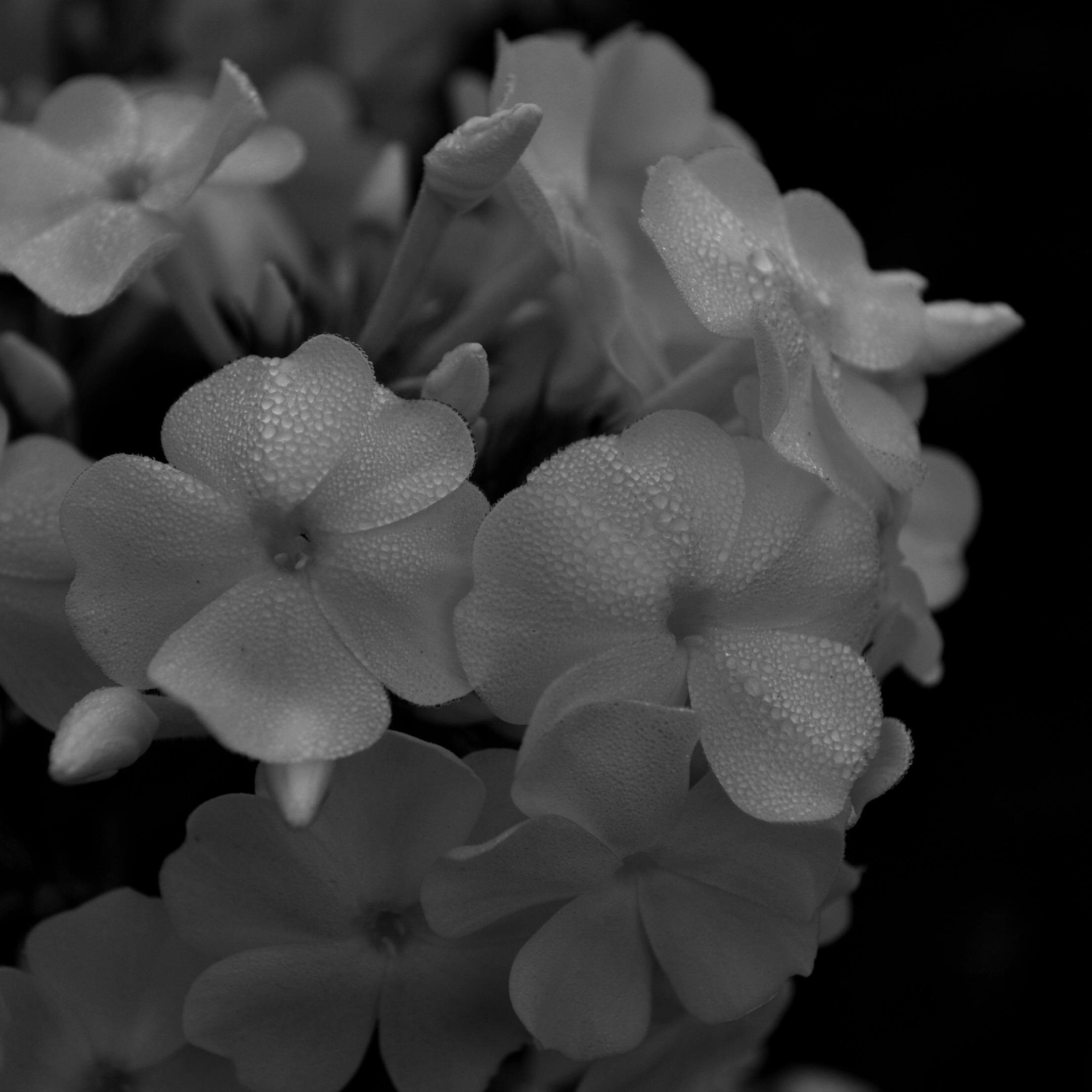 treehawk73's profile picture. Counselling Support Worker for kids, wife, football, rugby and ringette mom, mom to an aspiring actress...life is good!