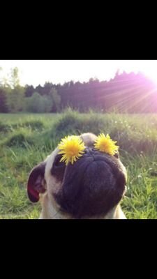 slvrlakedogpark's profile picture. Left for Blooskiieee bye boy bye